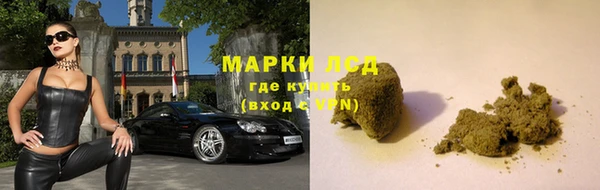 дживик Ладушкин