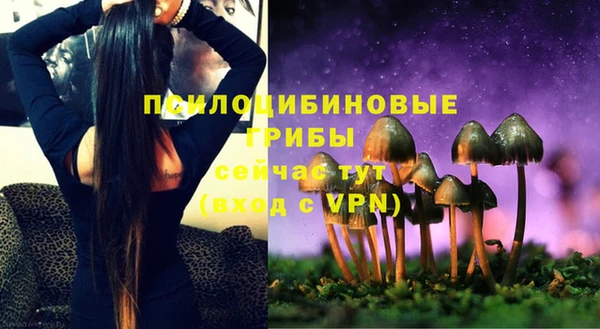 mdpv Лагань