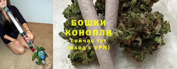 дживик Ладушкин