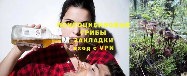 mdpv Лагань